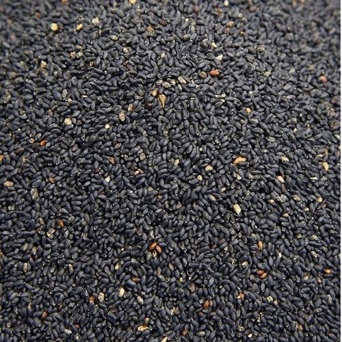 Basil Seeds (10kg)