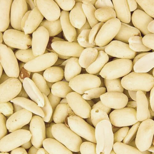 Blanched Peanuts (25kg) - Jumbo | Size 25/29