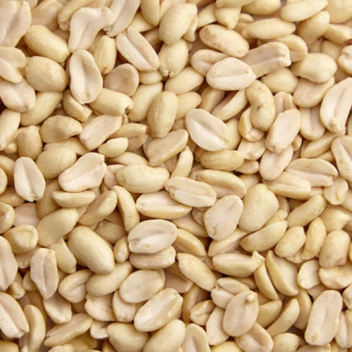 Blanched Peanuts (25kg) - Size 38/42