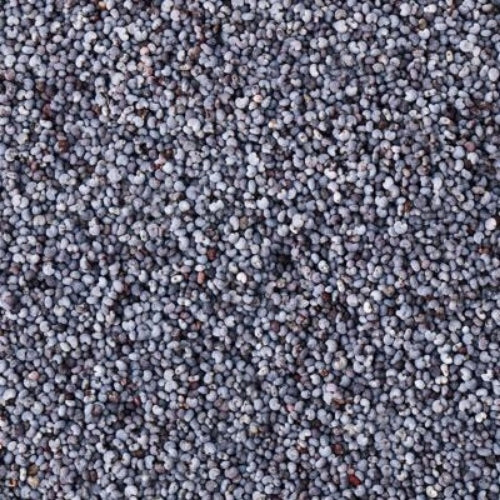 Blue Poppy Seeds (25kg)