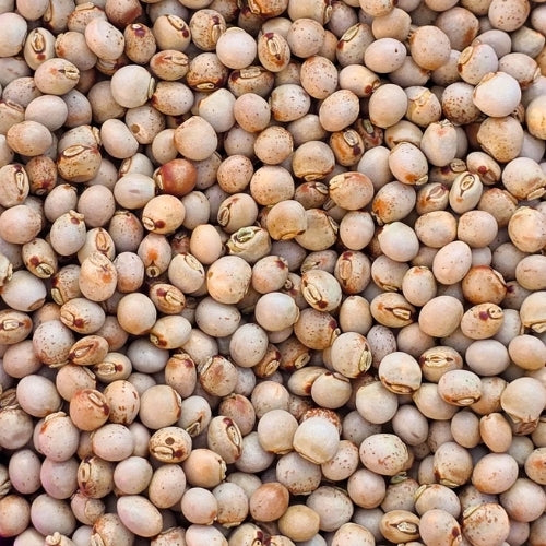 Gungo Peas (Pigeon Peas) (25kg)