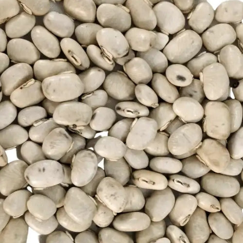 Kaunch Beej Seeds (5kg)