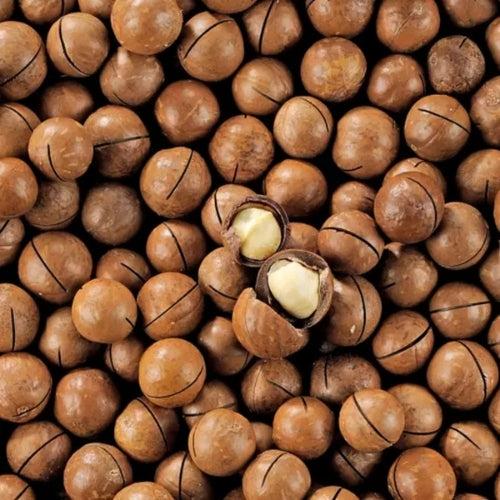 Macadamia In Shell (20kg)