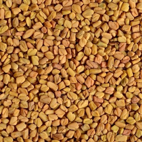 Fenugreek (Methi) Seeds (25kg)