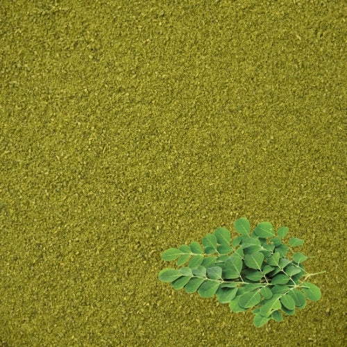 Moringa Powder (25kg)