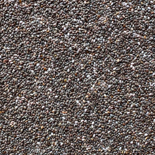 Organic Chia Seeds (25kg)