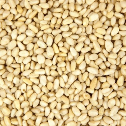 Pine Nuts (10kg)