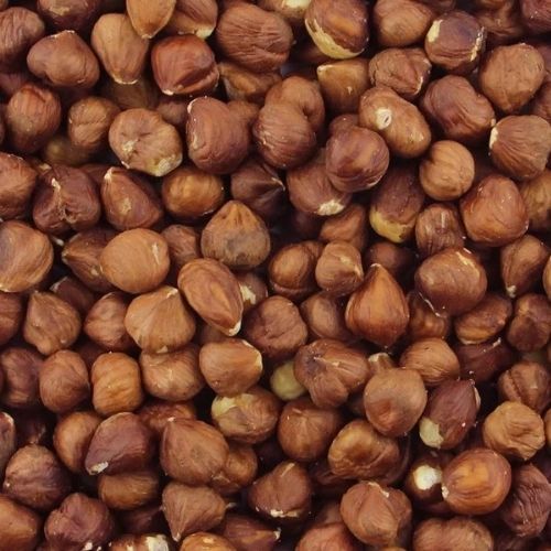 Raw Hazelnut (10kg)