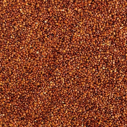 Red Quinoa (25kg)