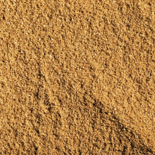 Roasted Coriander Powder (25kg)