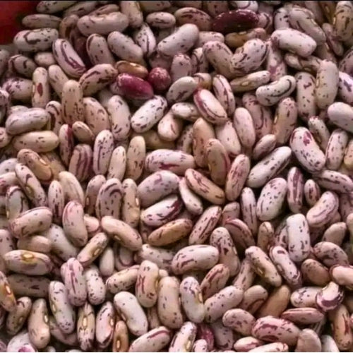 Rosecoco Beans (25kg)