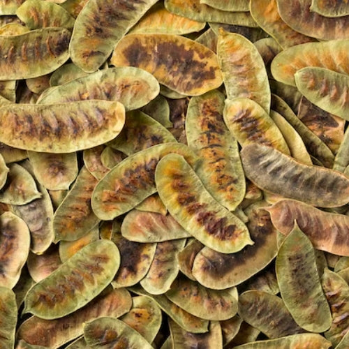 Senna Pods (2kg)