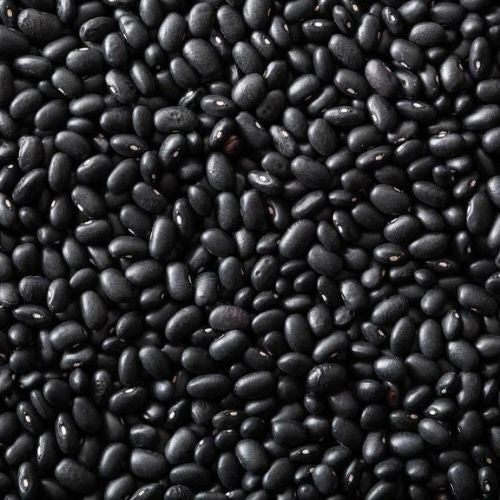 Black Turtle Beans (25kg)