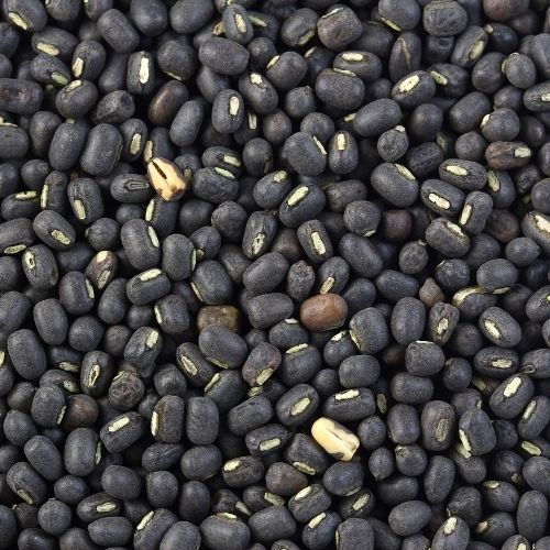 Black Urad Dal (25kg)