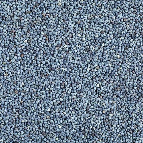 Blue Poppy Seeds (25kg)