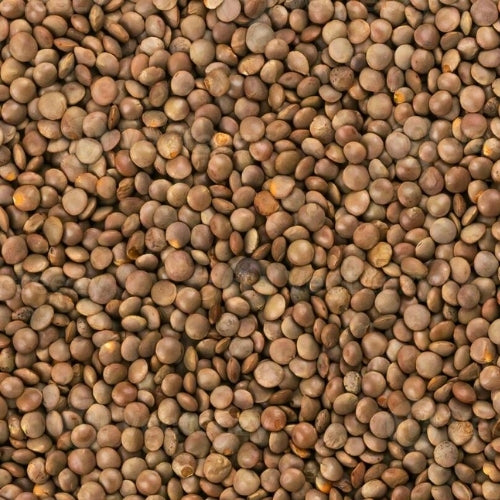 Brown Lentils (25kg)