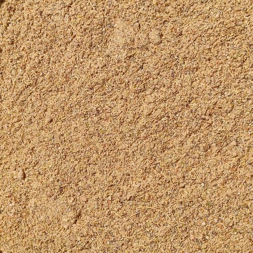 Cardamom Powder (5kg) – Ground Cardamom