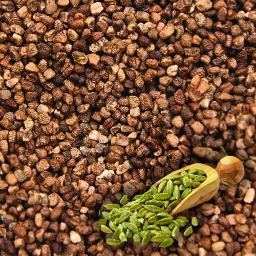 Cardamom Seeds (5kg)