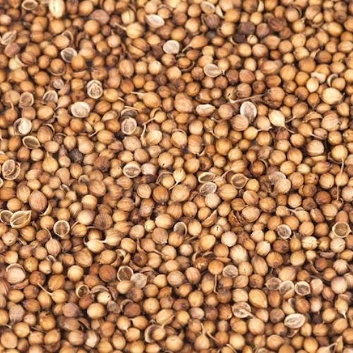 Coriander Seeds (25kg)