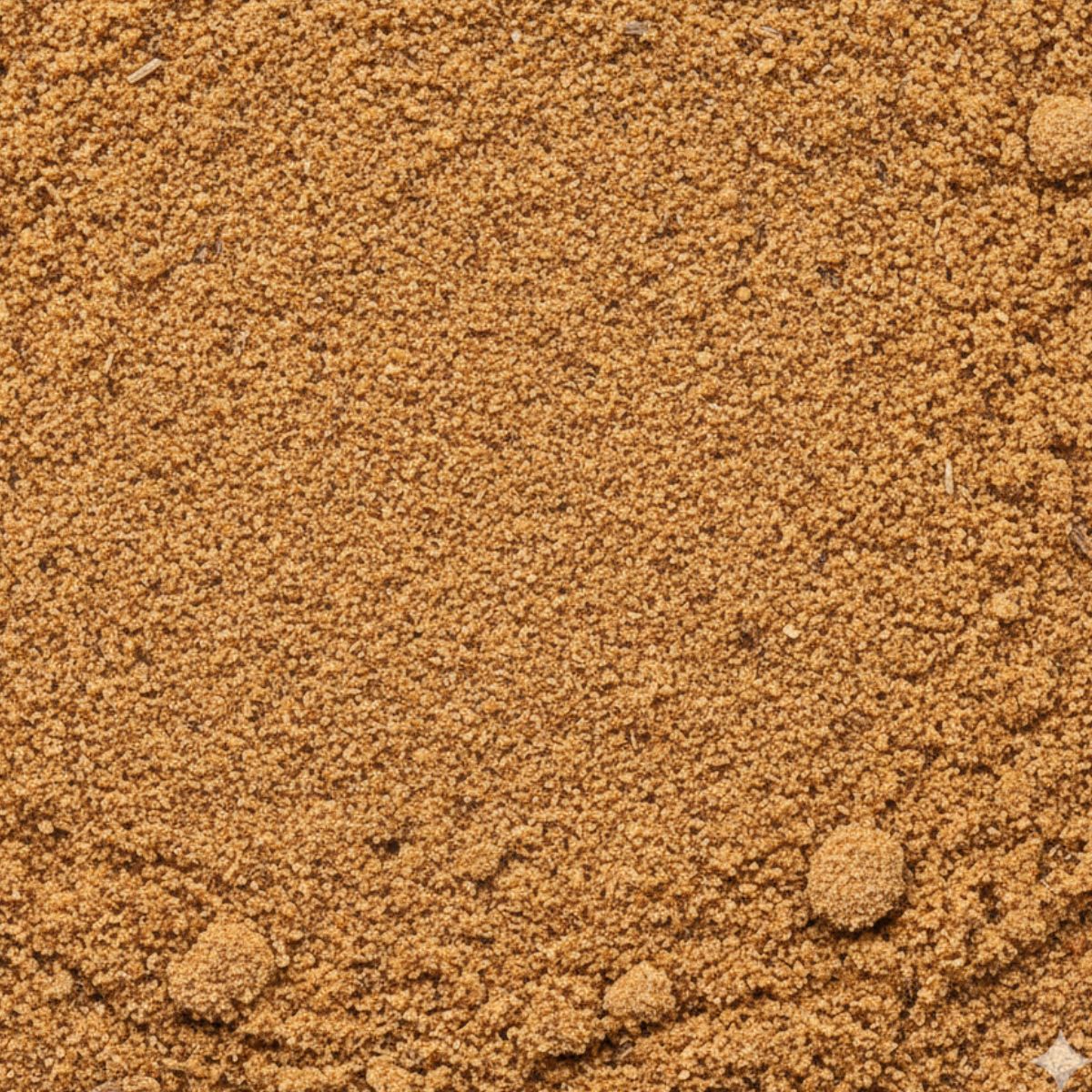 Cumin Powder (25kg)