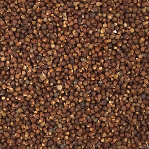 Grains of Paradise Seeds (2.5kg)