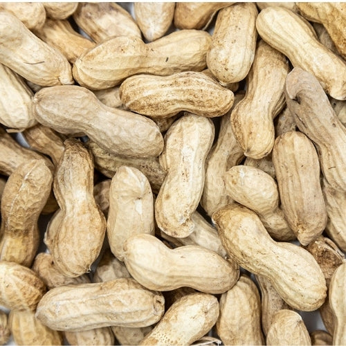 Monkey Nuts (20kg)