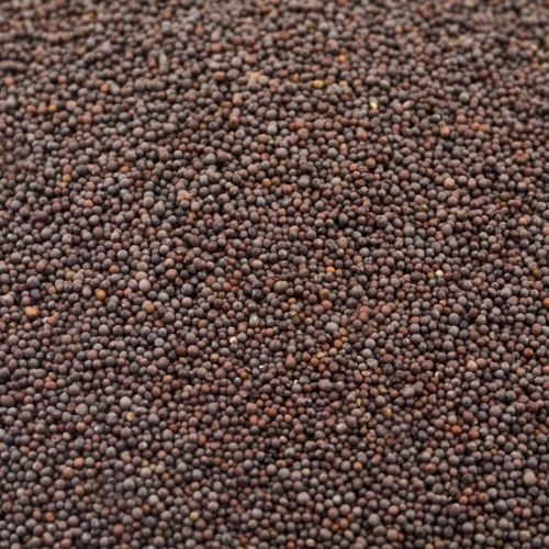 Mustard Seeds (25kg)