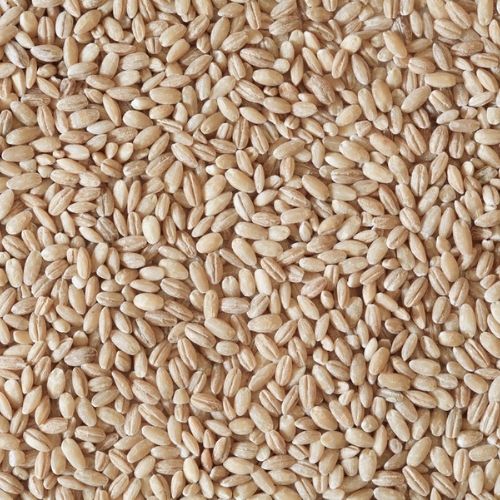 Pearl Barley (25kg)