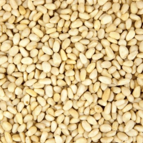 Pine Nuts (25kg)