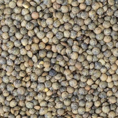 Puy Lentils (25kg)