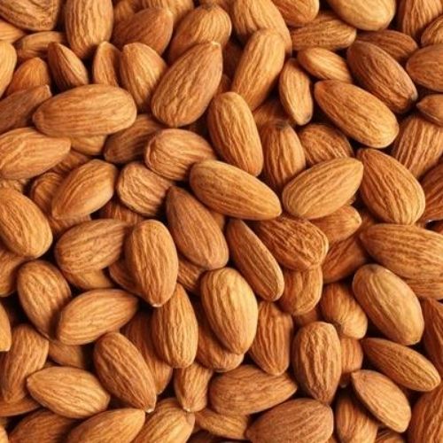 Raw Almond (22.68kg) | N.P.X