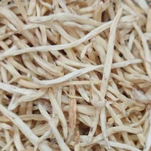 Safed Musli Root (10 x 1kg)