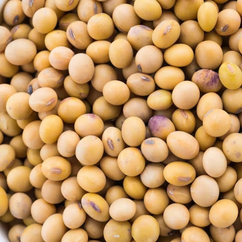 Soya Beans (20kg)