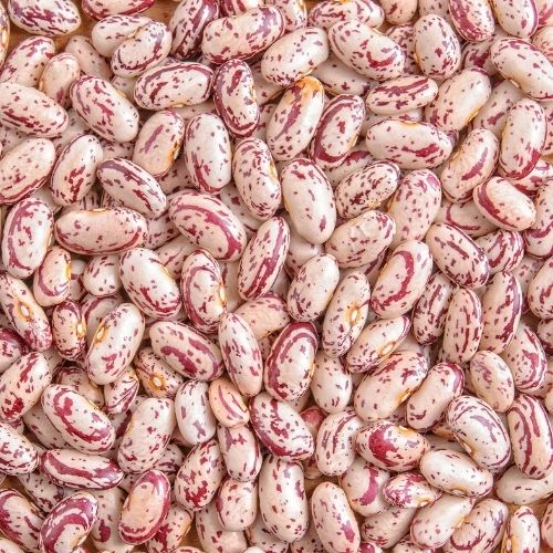 Speckled Pinto Beans (25kg)