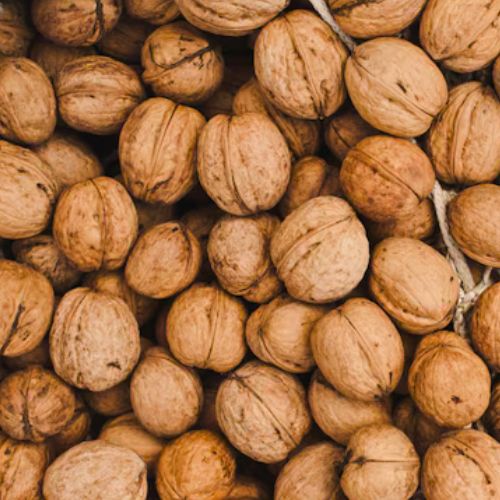 Bulk Nuts: Unbeatable Prices, Premium Quality Nuts, Lentils & Spices