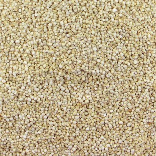 White Quinoa (25kg)